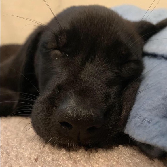 Meet your Posher, Kara - Picture 1 of 1